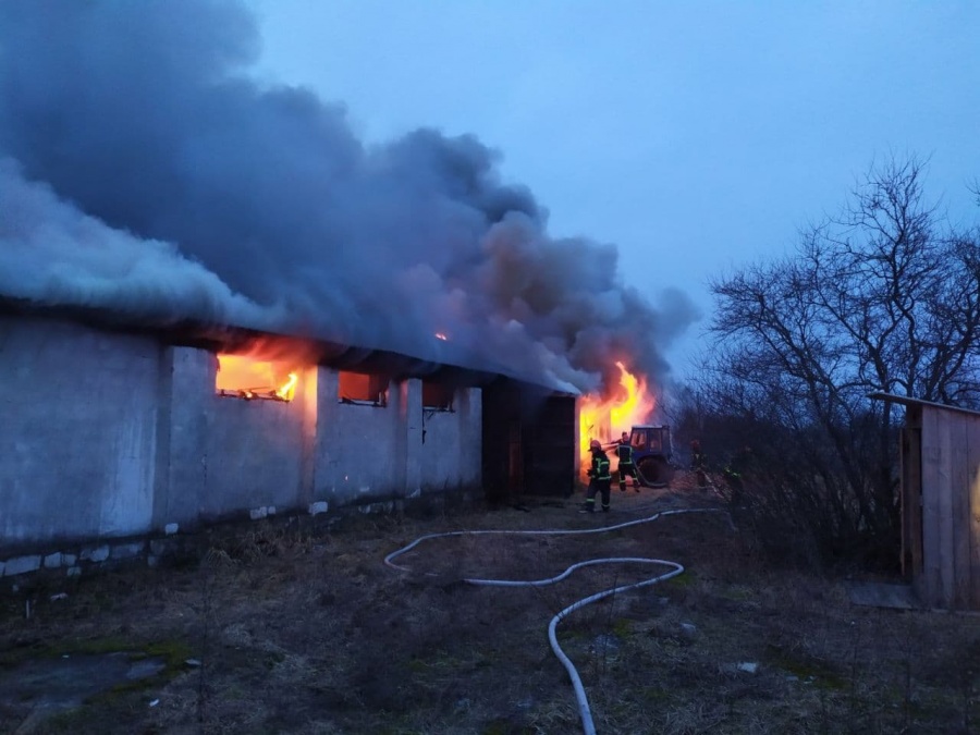 12 рятувальників гасили палаючу господарську будівлю
