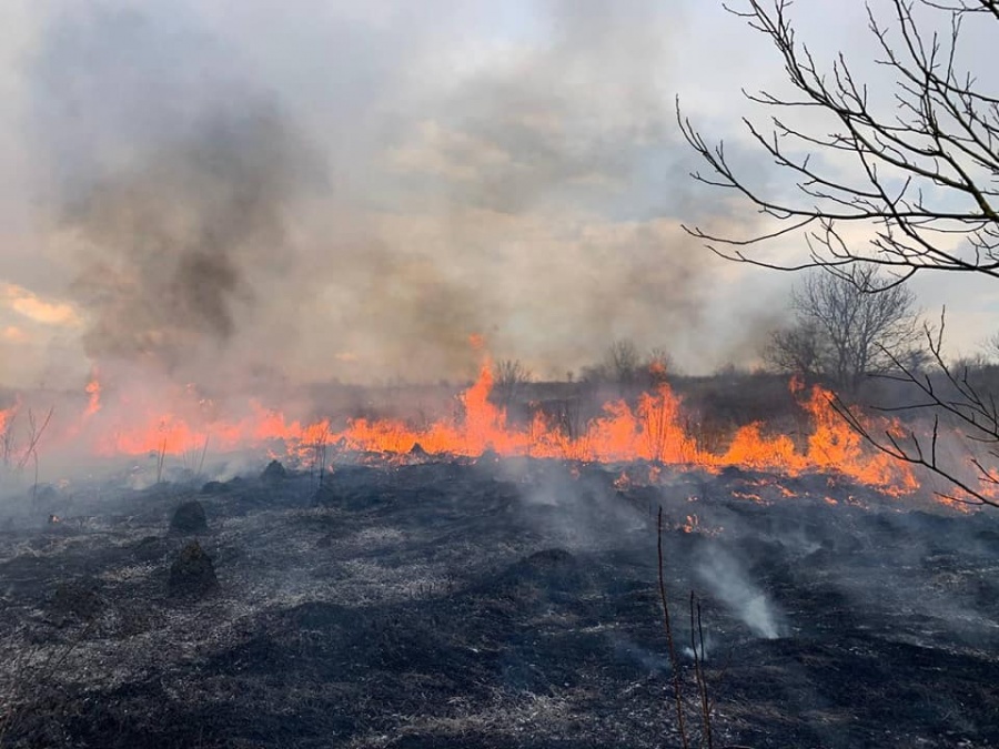 За минулу добу на Рівненщині ліквідували дві пожежі сухої трави та чагарників