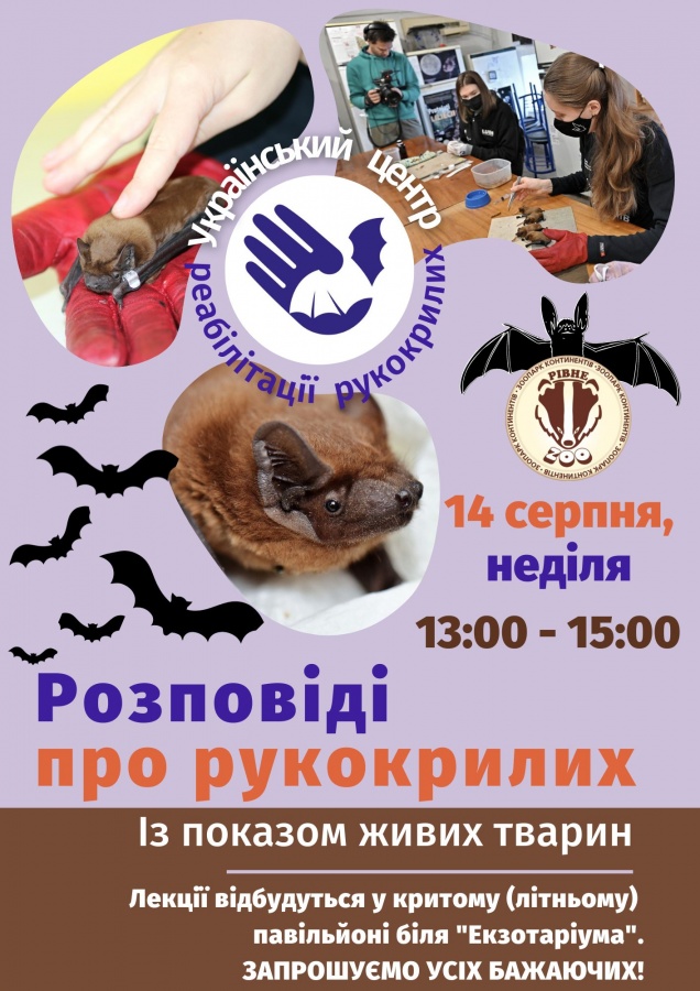 Рівненський зоопарк починає партнерство з Українським Центром реабілітації рукокрилих