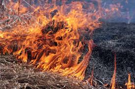 На 3 жителів Рівненщини склали адмінпротоколи за спалювання сухої трави