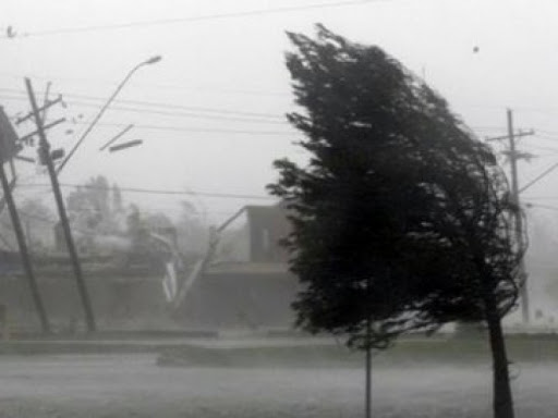 Жителів Рівненщини попереджають про сильні пориви вітру