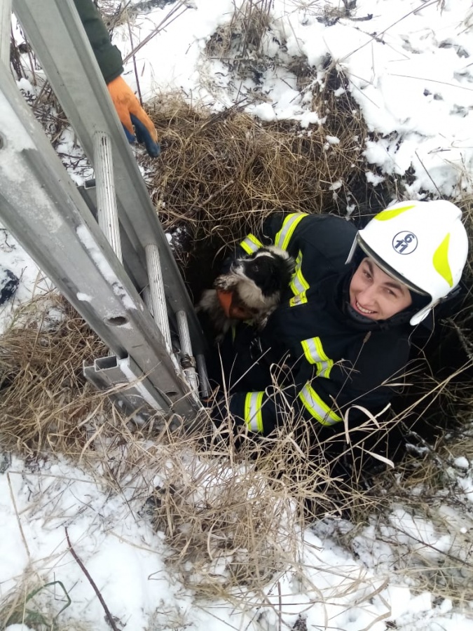 На Млинівщині рятували собаку, яка впала у 8-метровий колодязь (+ФОТО)
