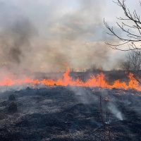 За минулу добу на Рівненщині ліквідували дві пожежі сухої трави та чагарників