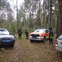 На Сарненщині в лісі зник чоловік