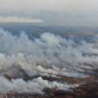 50 га сухої трави горіли на Рівненщині