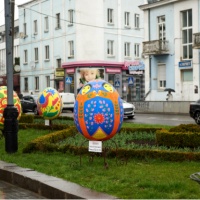 У Рівному зацвів писанковий сад