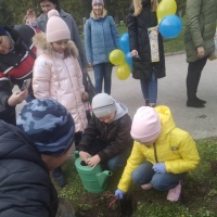 У Рівному розквітне "Алея троянд мирної України"