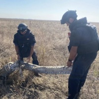 Рівненські рятувальники продовжують розміновувати деокуповані території