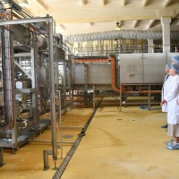 На Рівненщині працює завод, який переробляє 550 тонн молока за добу