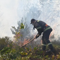 До гасіння пожежі на Сарненщині залучено 86 людей та 16 одиниць техніки