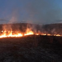 Жителі Рівненщини почали палити суху траву