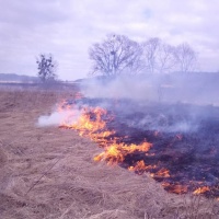 Жителів Рівненщини закликають берегти екологію