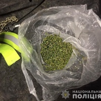 Поліцейські вилучили марихуану в жителя Рівненського району