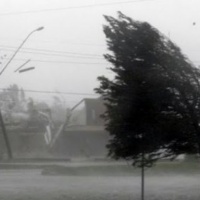 Жителів Рівненщини попереджають про сильні пориви вітру